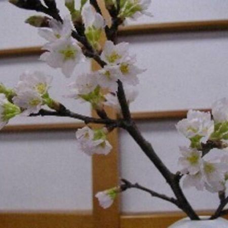 Wakaba Ryokan / Vacation Stay 29366 Sakata Εξωτερικό φωτογραφία
